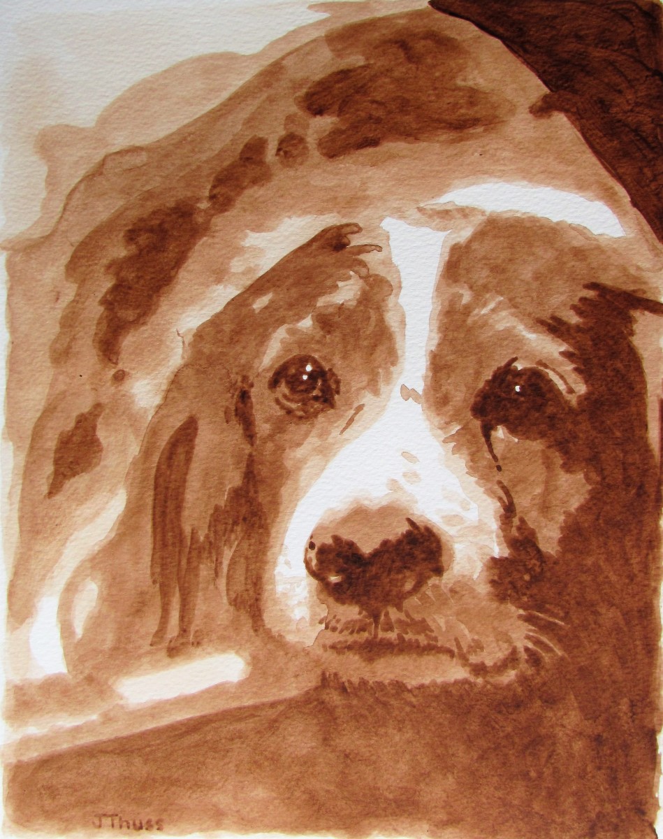 Spaniel by Jane Thuss 