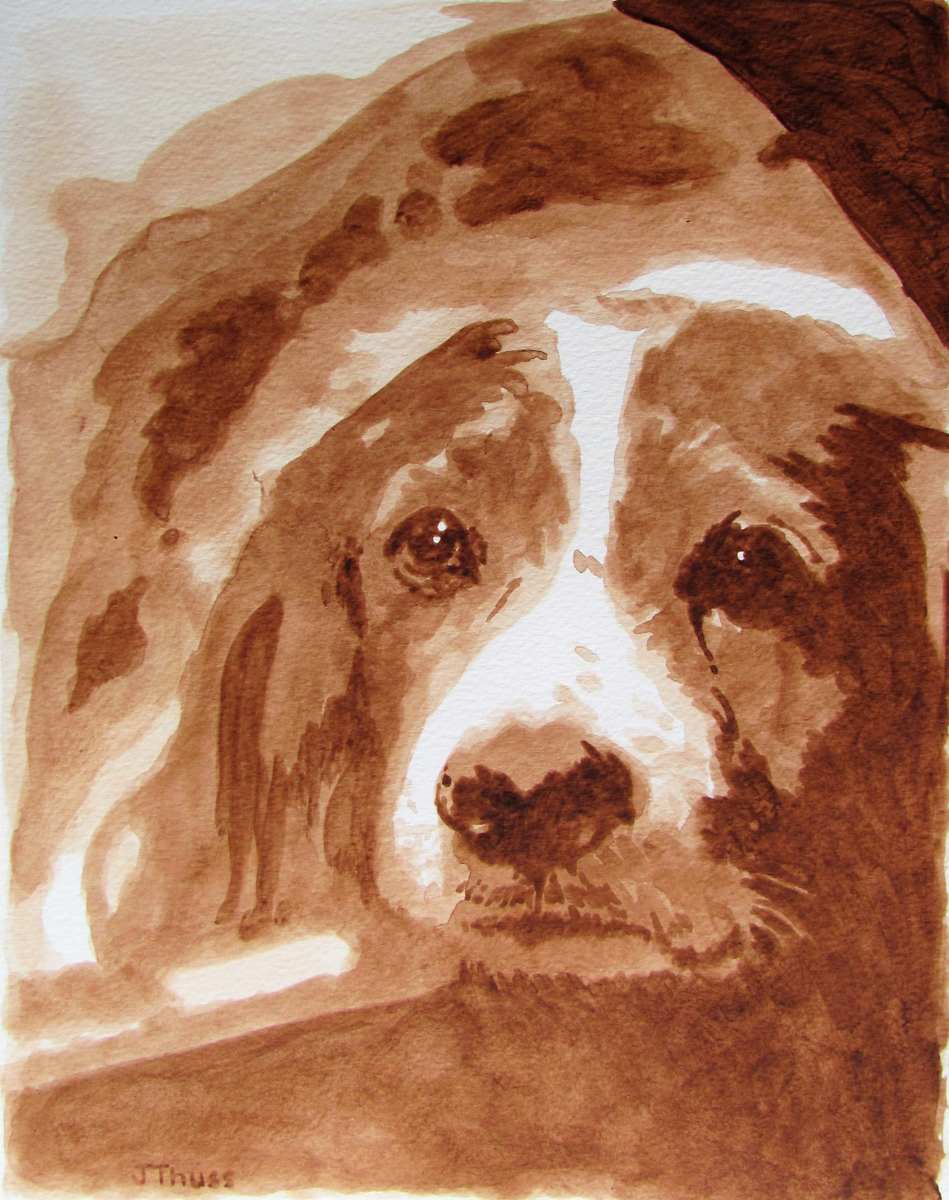 Spaniel by Jane Thuss, Image 1.