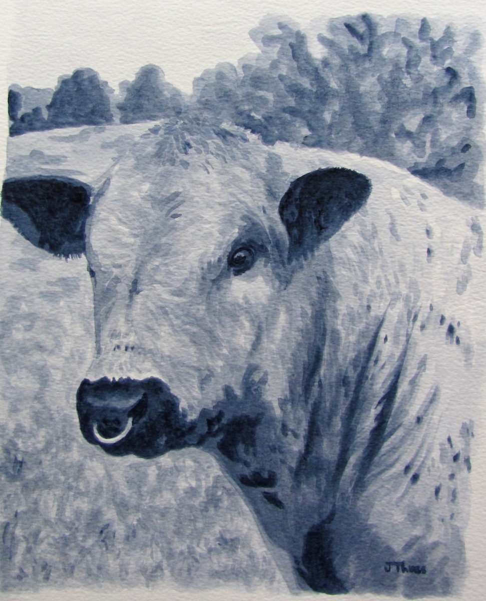 Speckled Park Bull by Jane Thuss 