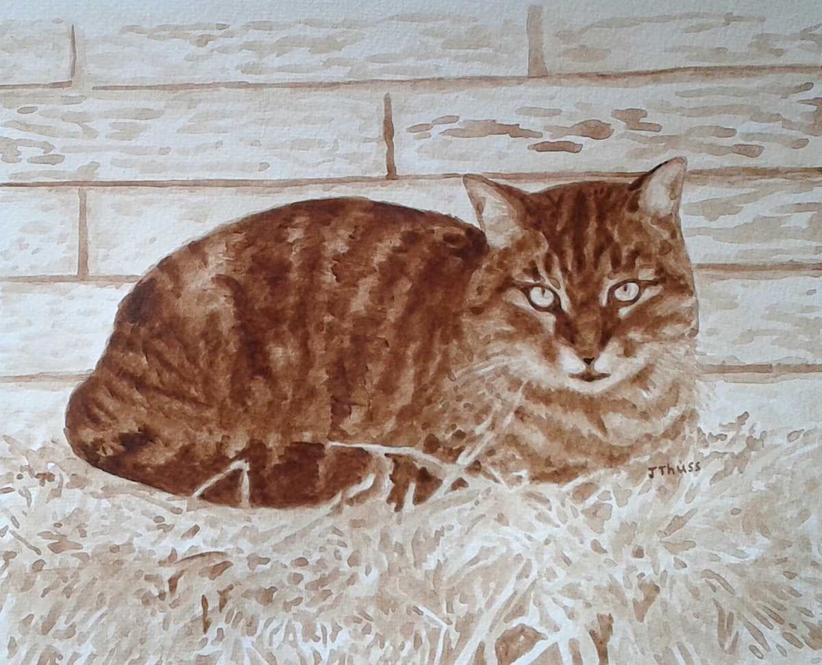 Tiger by Jane Thuss, Image 1.