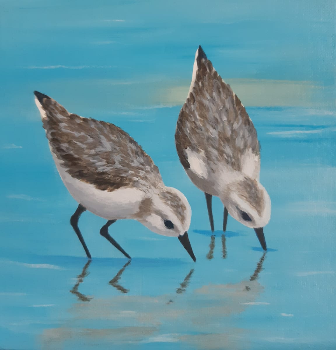 Two of a Kind by Jane Thuss  Image: Two Sanderlings look at their reflections as they search for food along the shore.