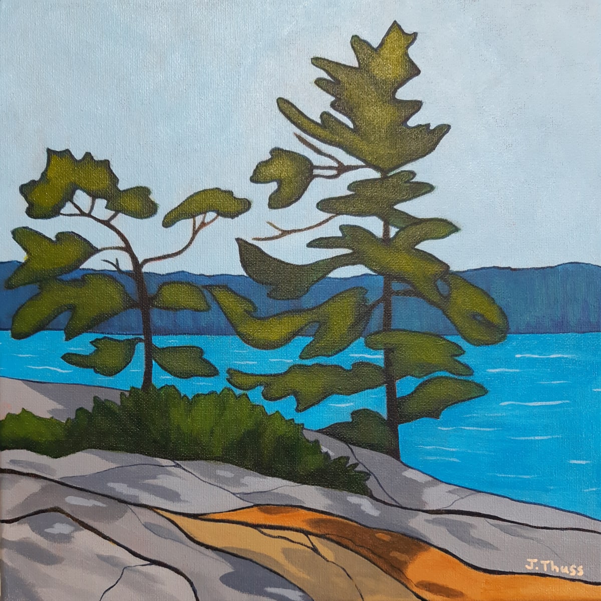 Windswept Pines by Jane Thuss  Image: Windswept pines on Lake Huron's rocky shores.