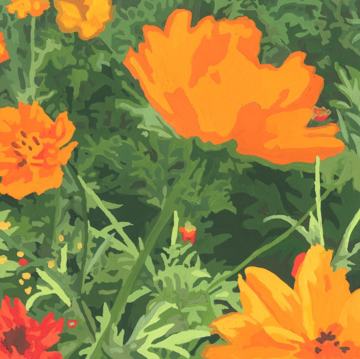 Wildflower Composition (California Poppy #14) by James Oliver 