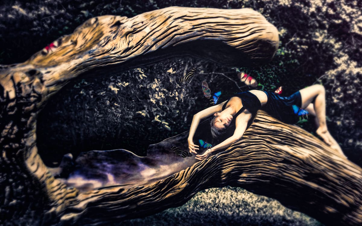 Surrender to Love by Rochelle Berman 