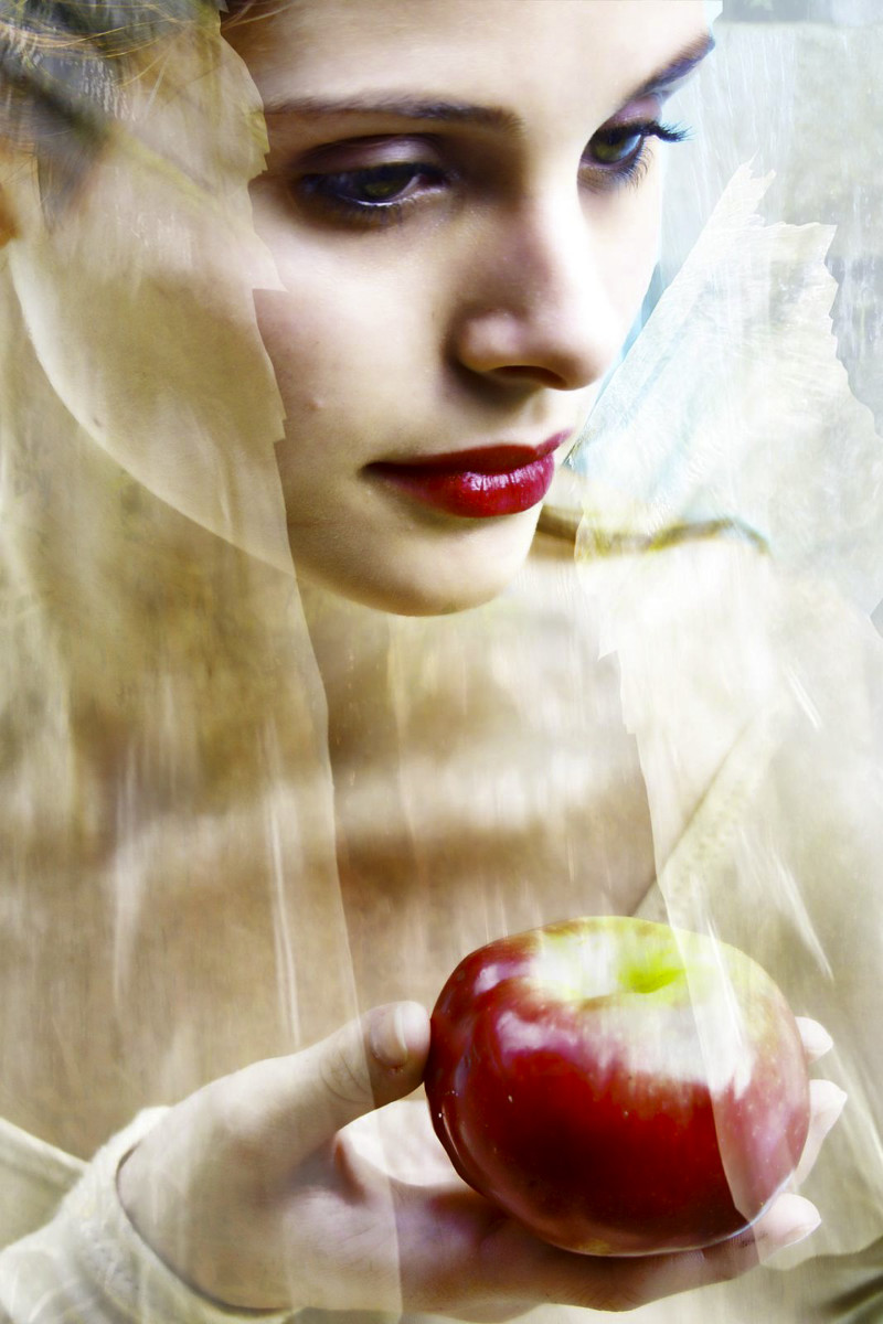 The Temptation by Rochelle Berman 