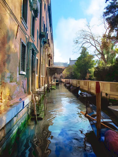 Venice Beauty by Rochelle Berman 