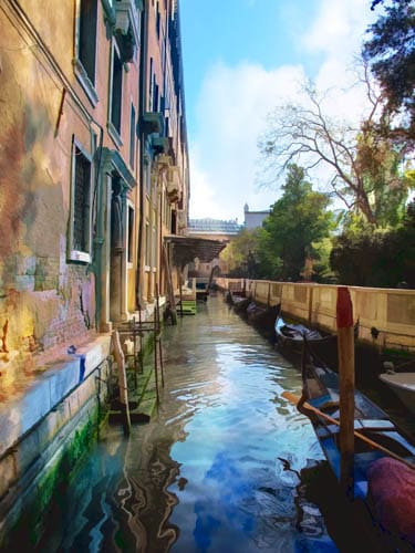 Venice Beauty by Rochelle Berman, Image 1.