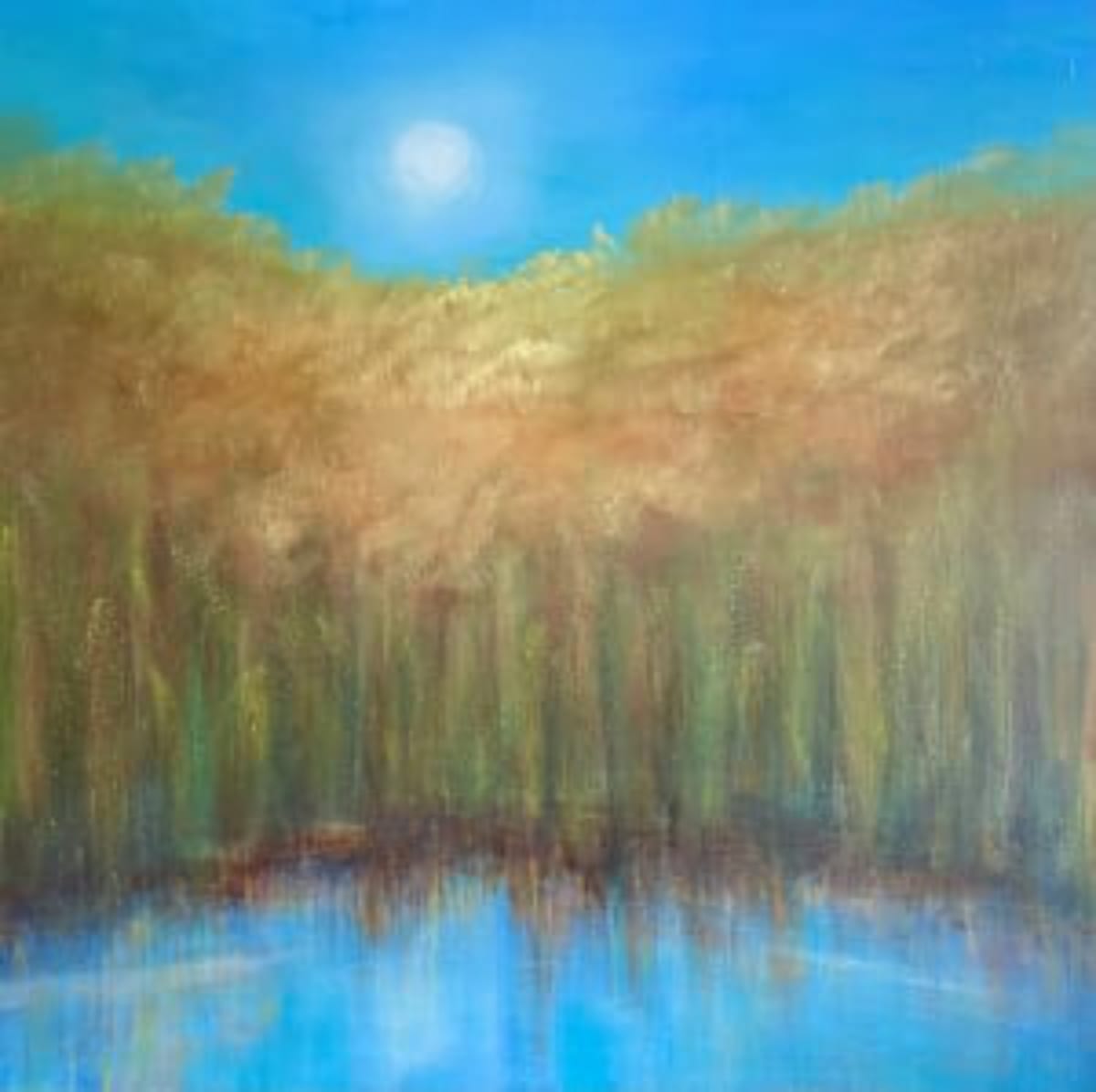 Reflections by Jane D. Steelman 