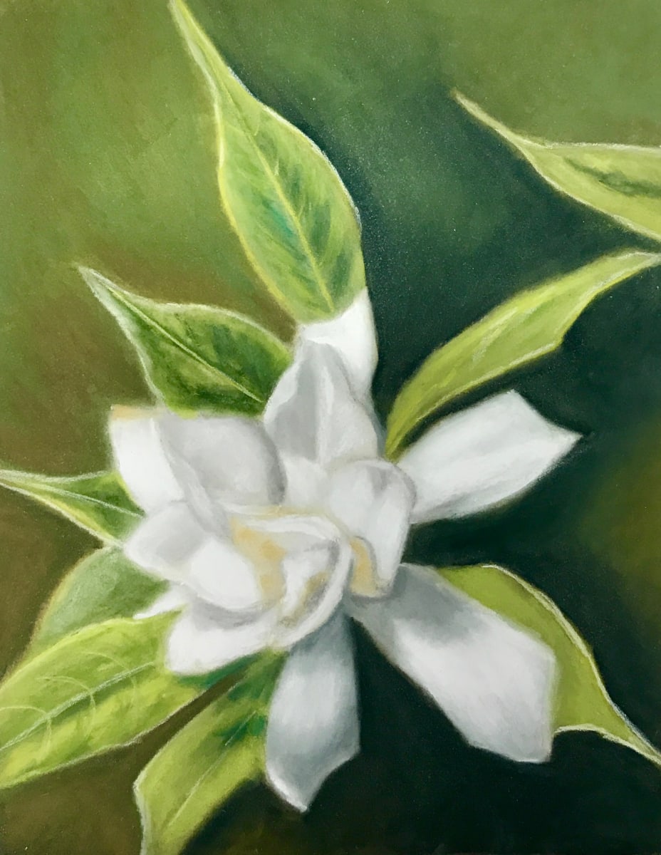 Gardenia by Jane D. Steelman, Image 1.