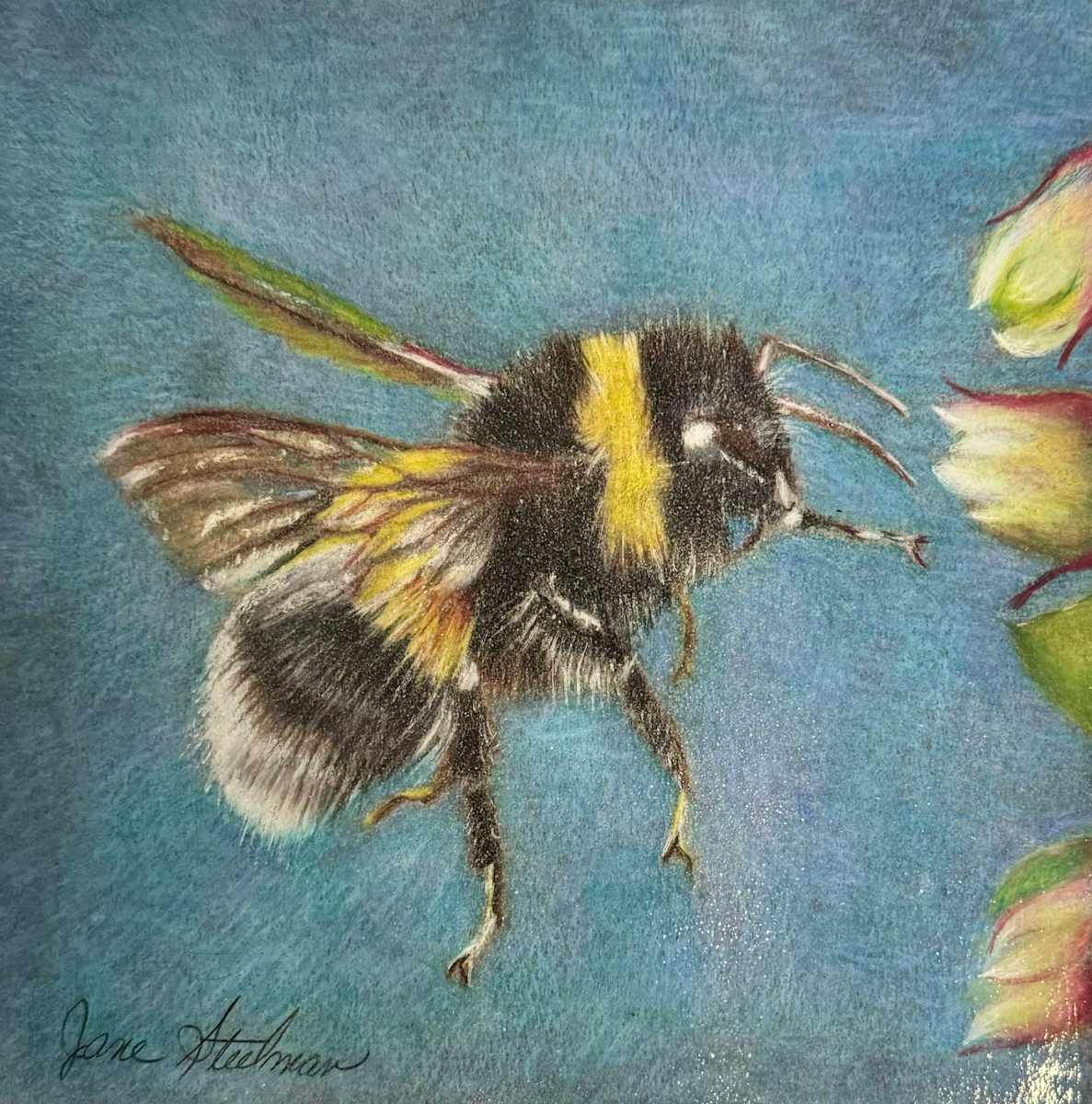 Bee Positive by Jane D. Steelman 