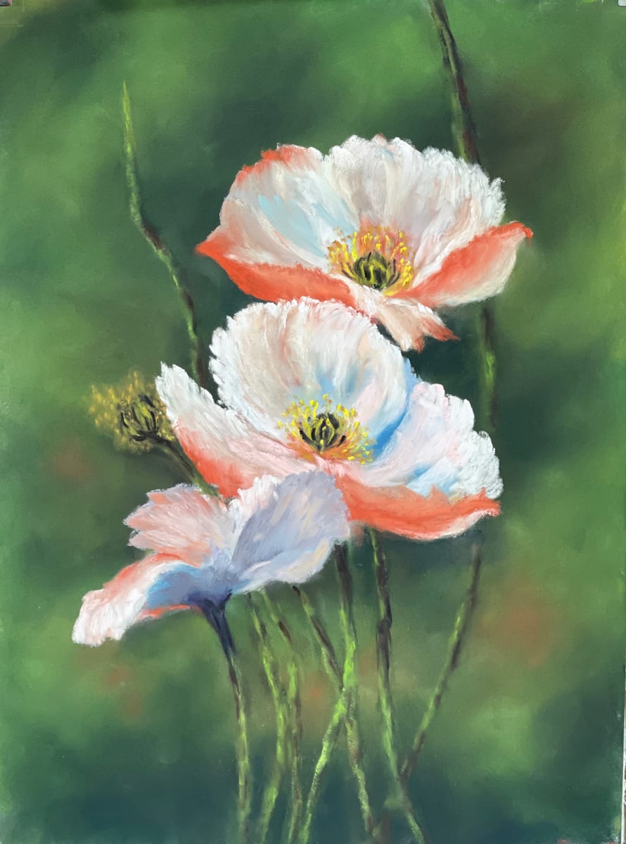 Orange Poppies 