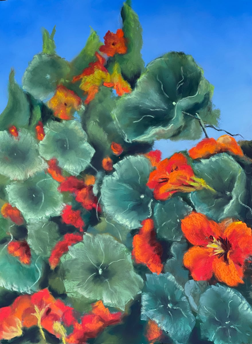 Nastursiums 