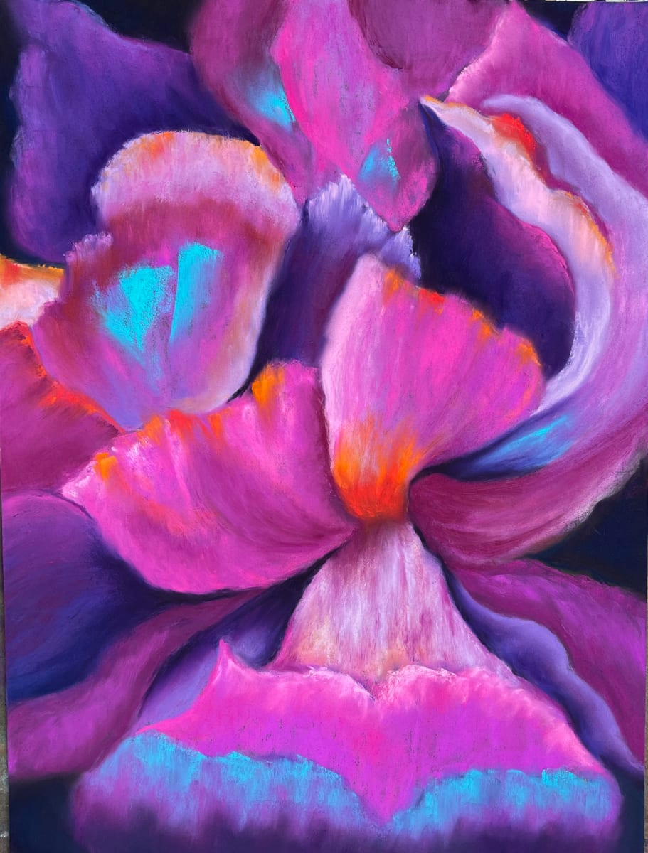 Iris Fantasy by Jane D. Steelman 