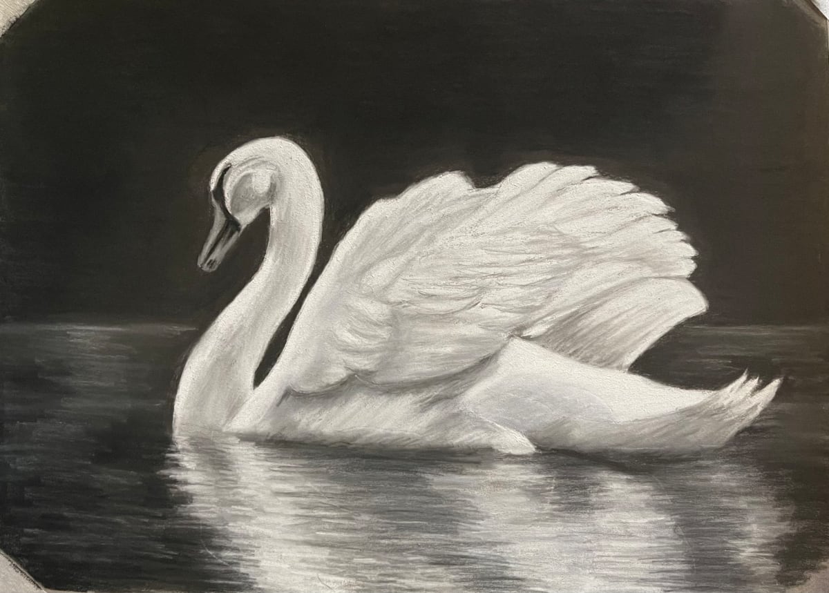 Single Swan by Jane D. Steelman, Image 1.