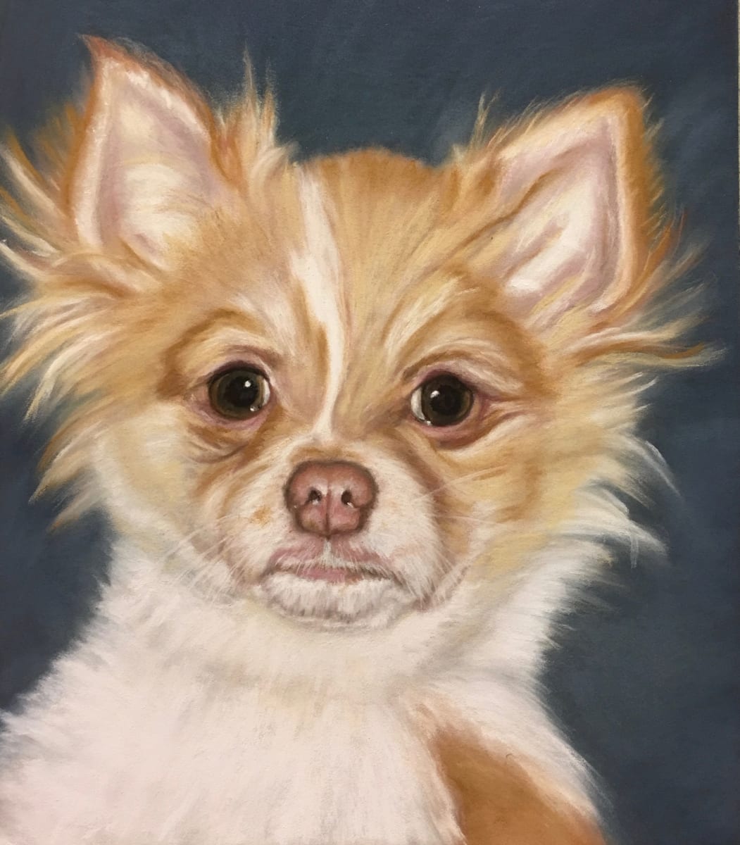 Olivander (Ollie) by Jane D. Steelman 