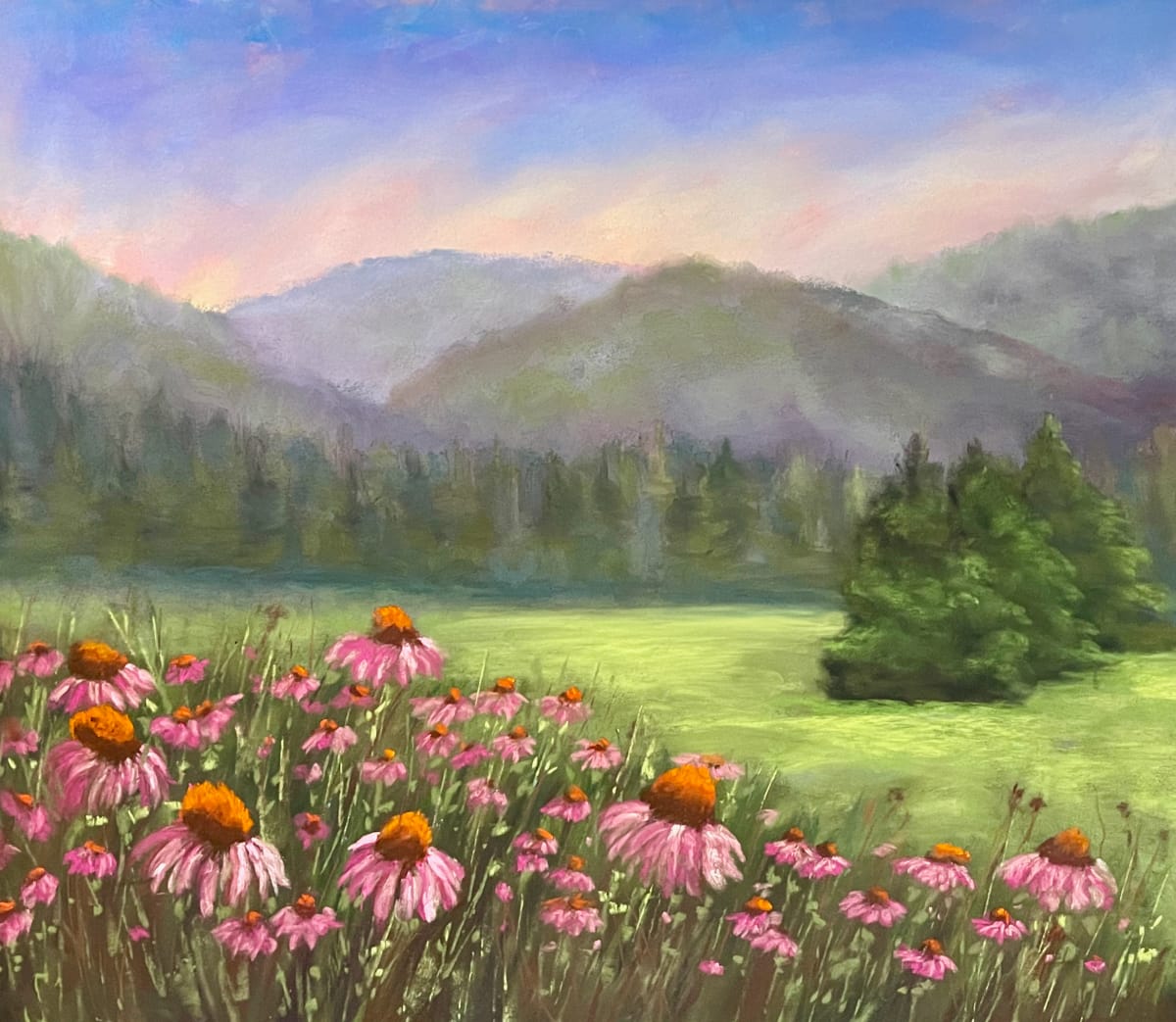 Carolina Coneflowers by Jane D. Steelman 