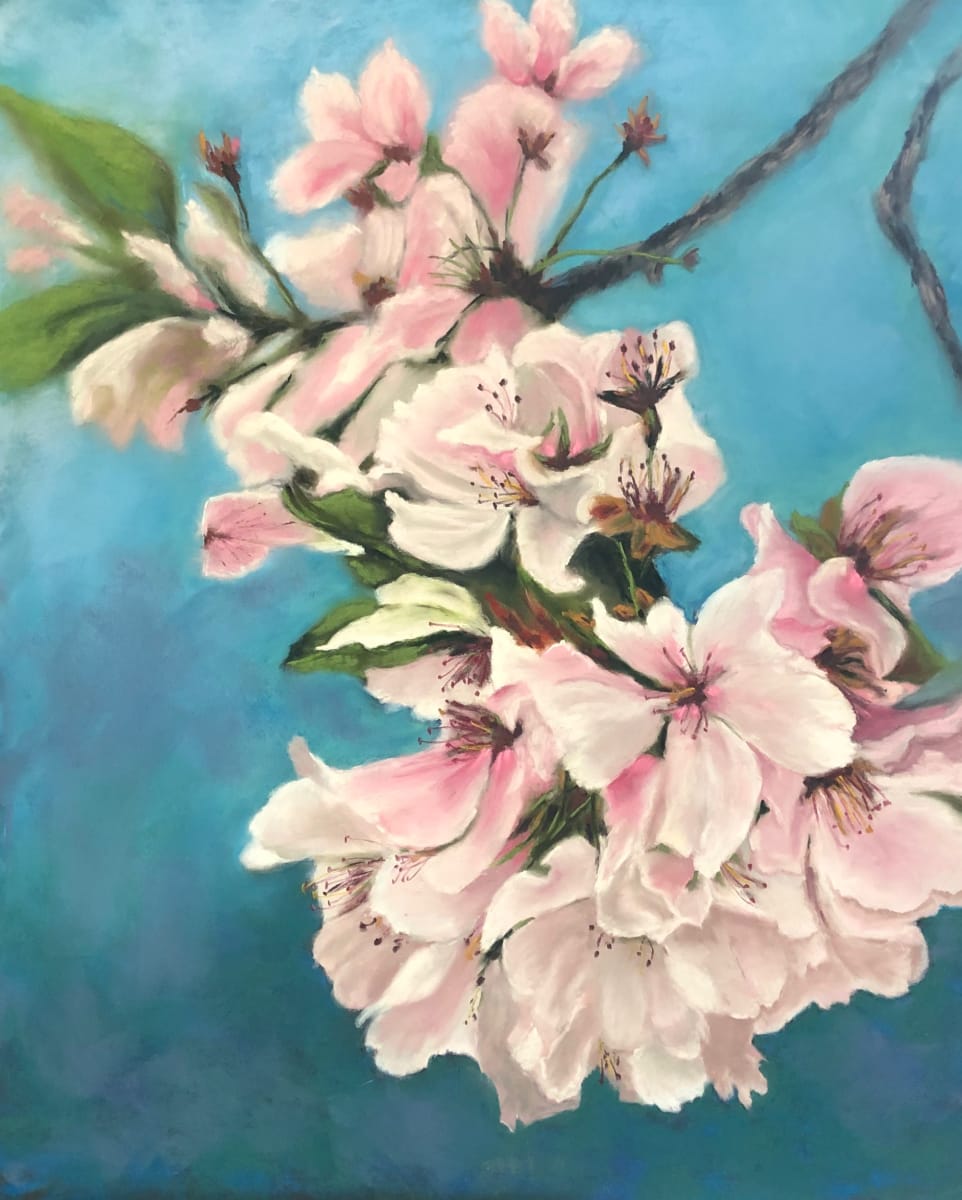 Sakura  Image: Donated to RMA for their annual auction 2021.