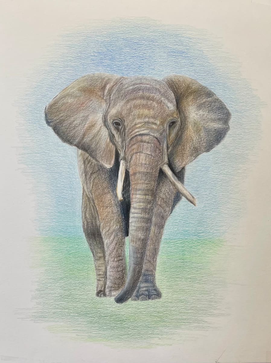 Mr. Majestic by Jane D. Steelman 