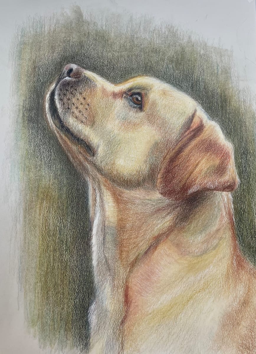 Always Look Up by Jane D. Steelman, Image 1.