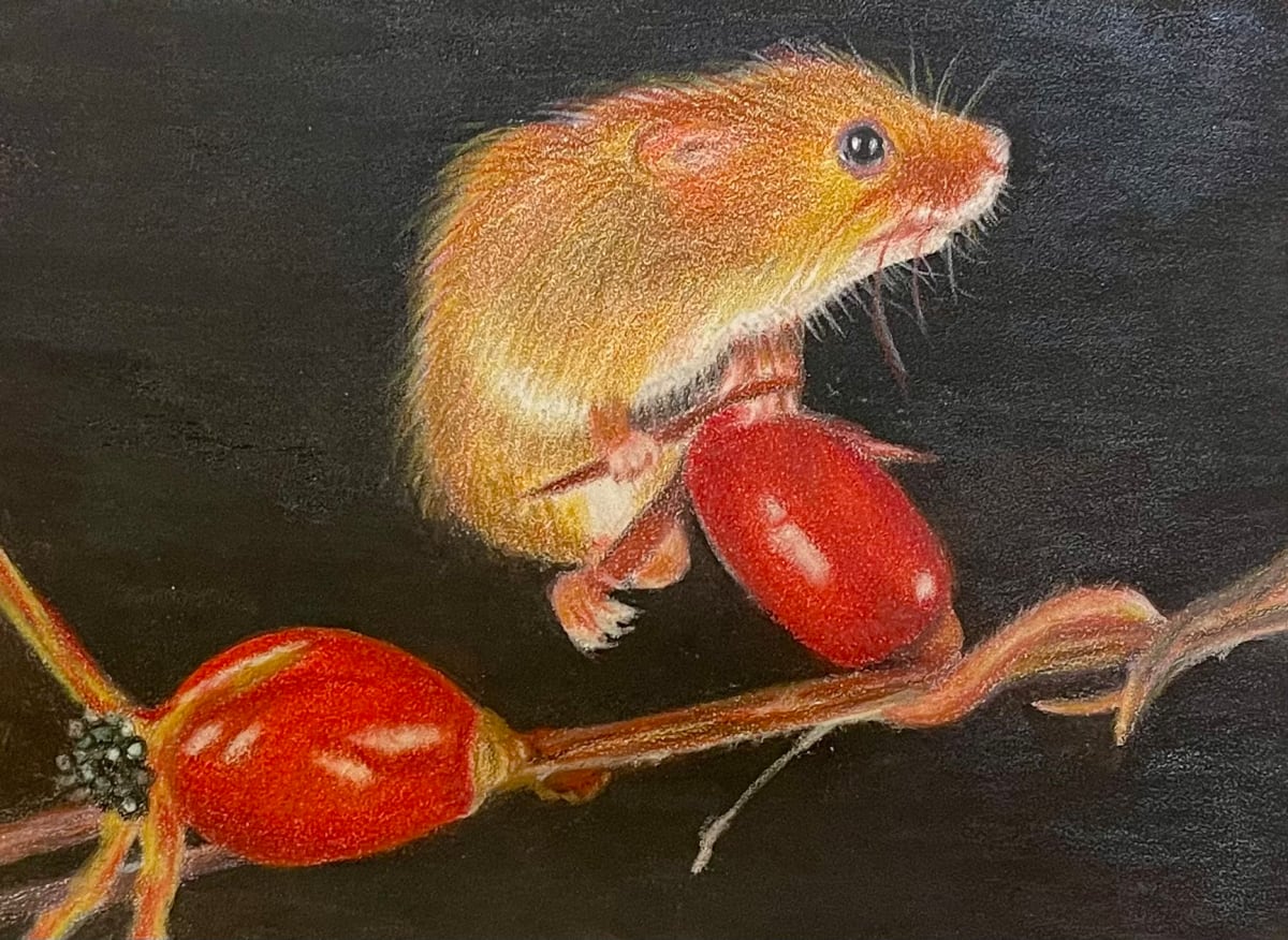 Cherry on Top by Jane D. Steelman, Image 1.
