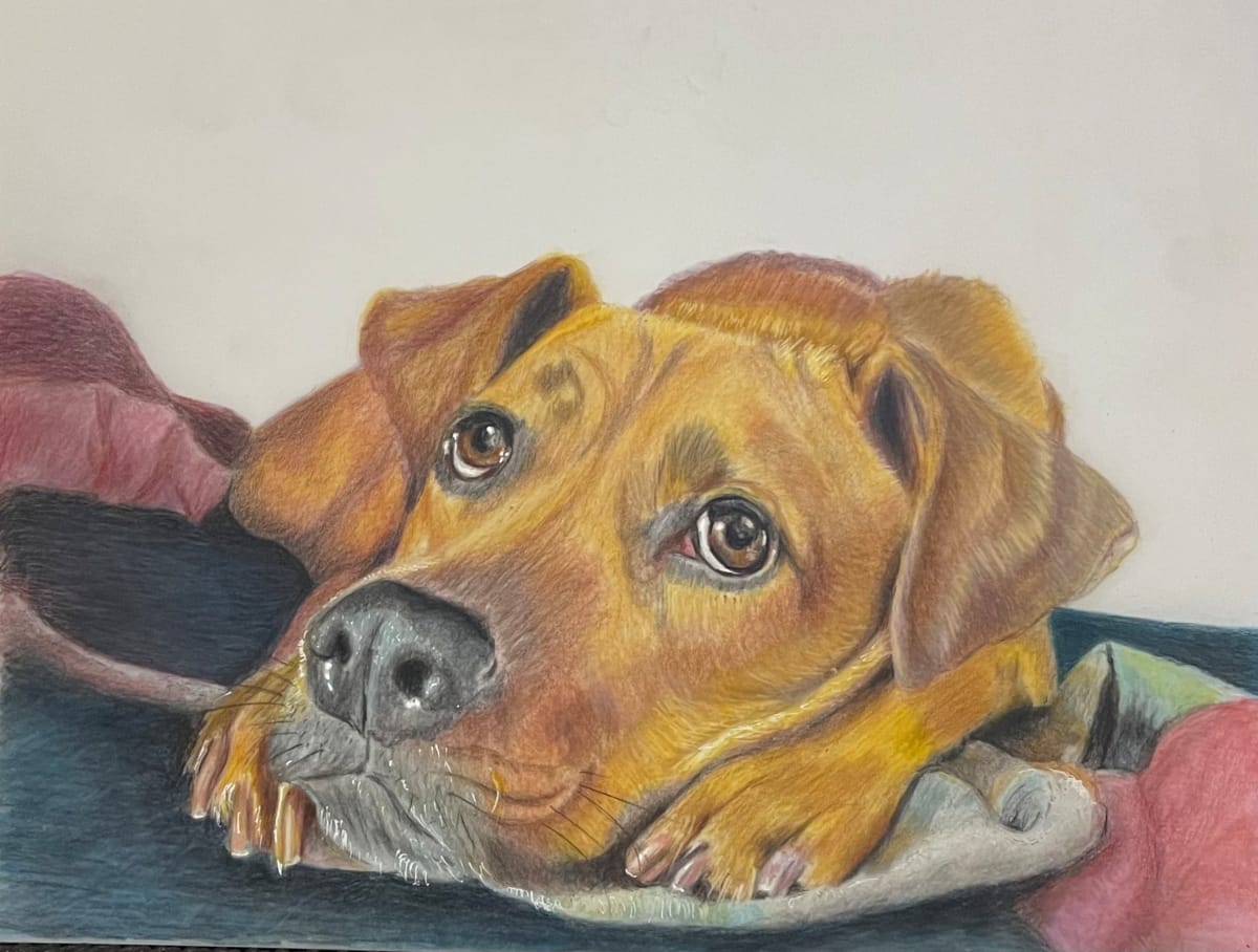 When's Dinner? by Jane D. Steelman, Image 1.