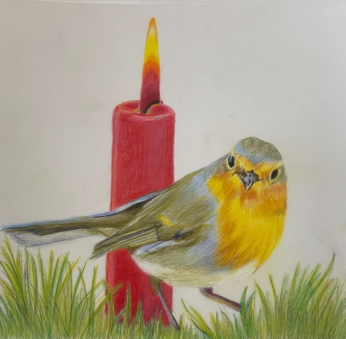 In the Light by Jane D. Steelman 