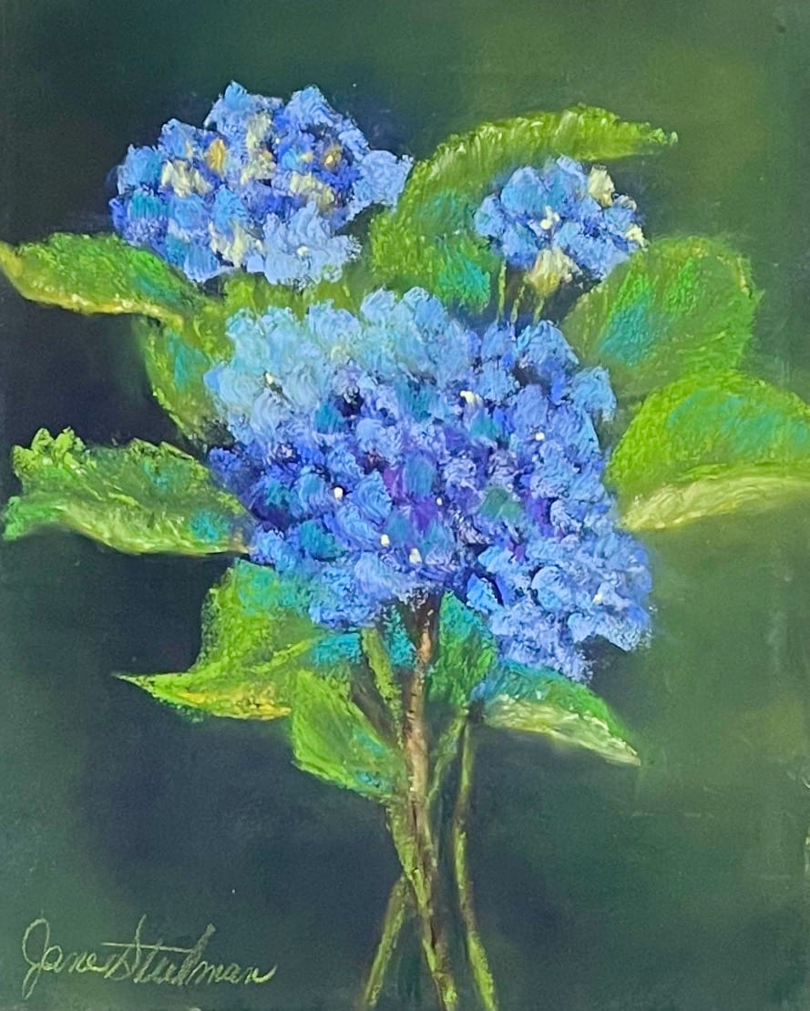 Blue Hydrangea 2 by Jane D. Steelman, Image 1.