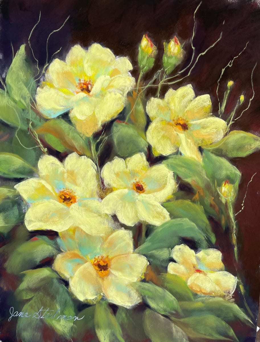 Knockouts by Jane D. Steelman, Image 1.