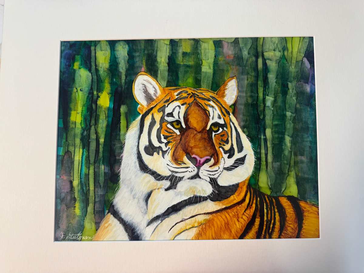 Tiger Time by Jane D. Steelman 