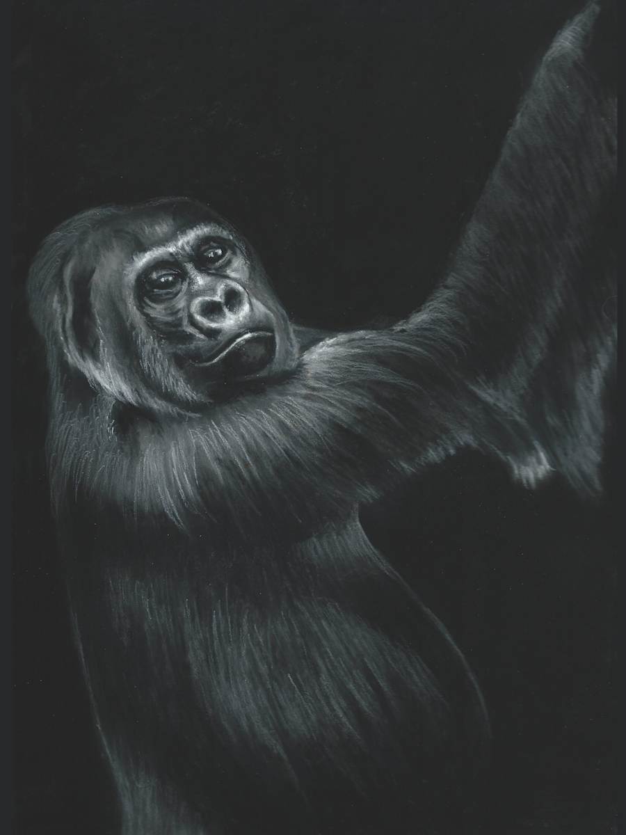 Hanging Around by Jane D. Steelman, Image 1.