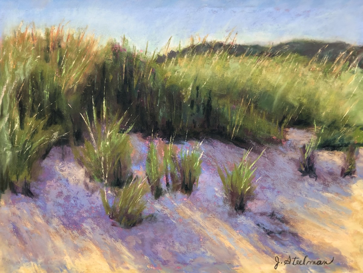 In the Shadows by Jane D. Steelman 