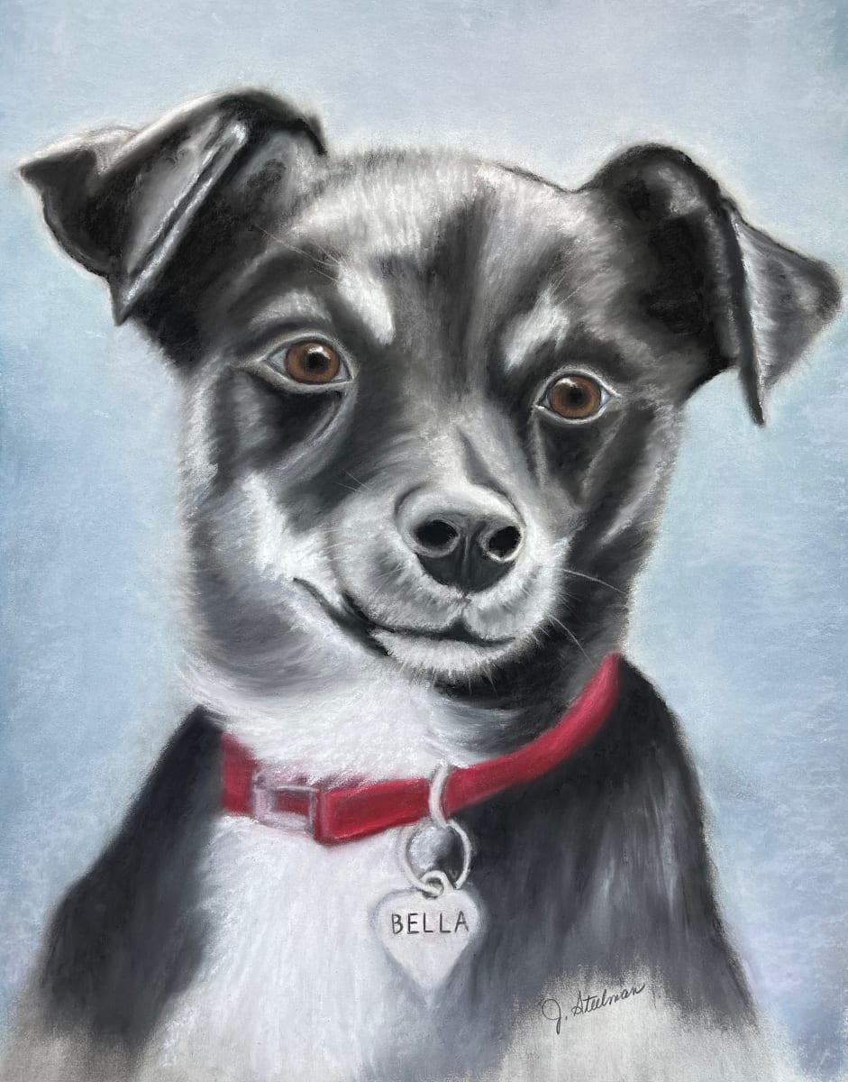 Bella 2 by Jane D. Steelman 