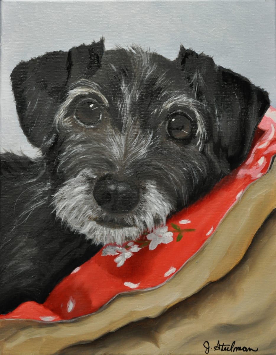 Blackie (commission) 