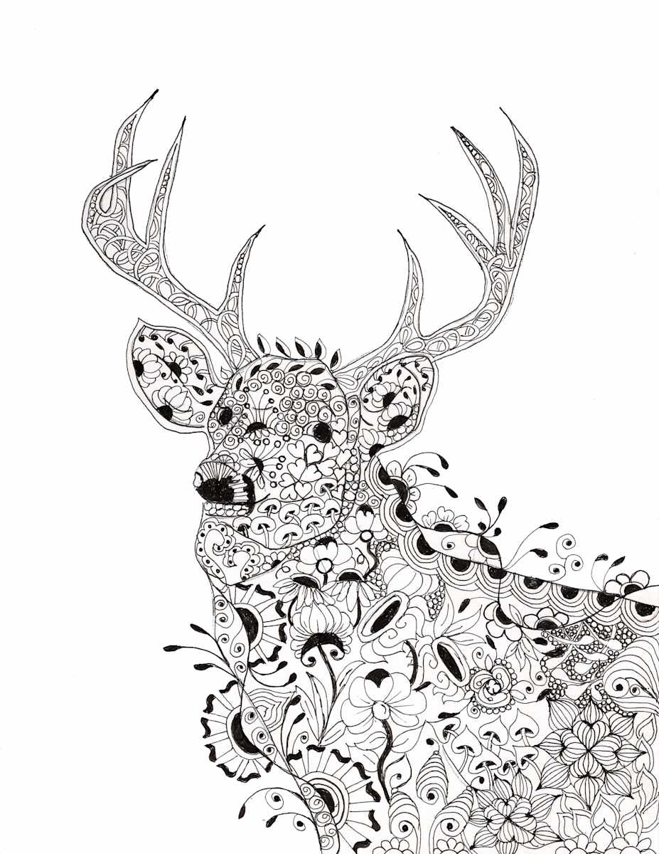 Zen Buck by Jane D. Steelman, Image 2.