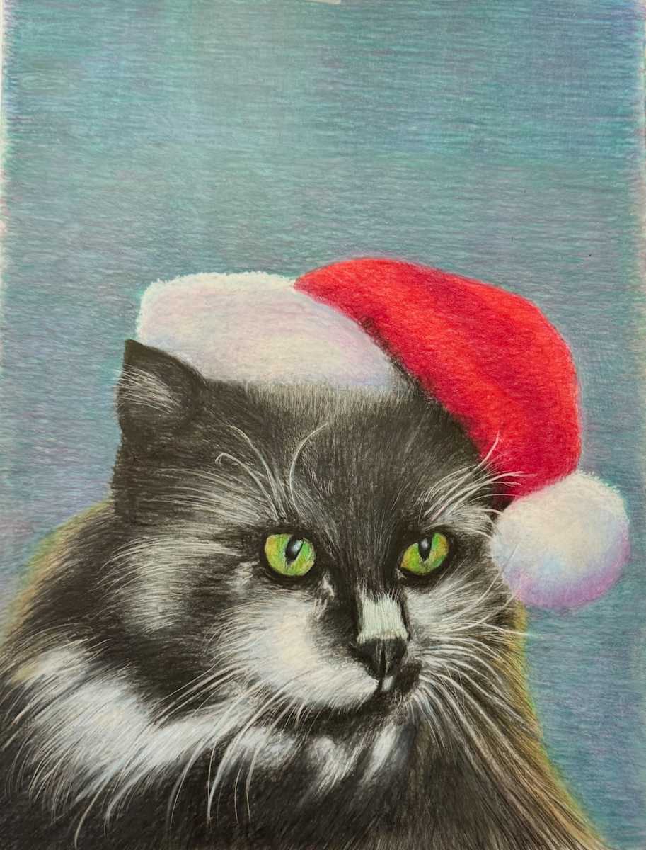 Cat in the Hat by Jane D. Steelman 