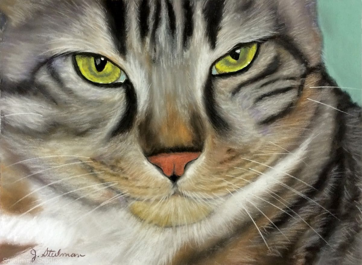 Charlie by Jane D. Steelman, Image 1.