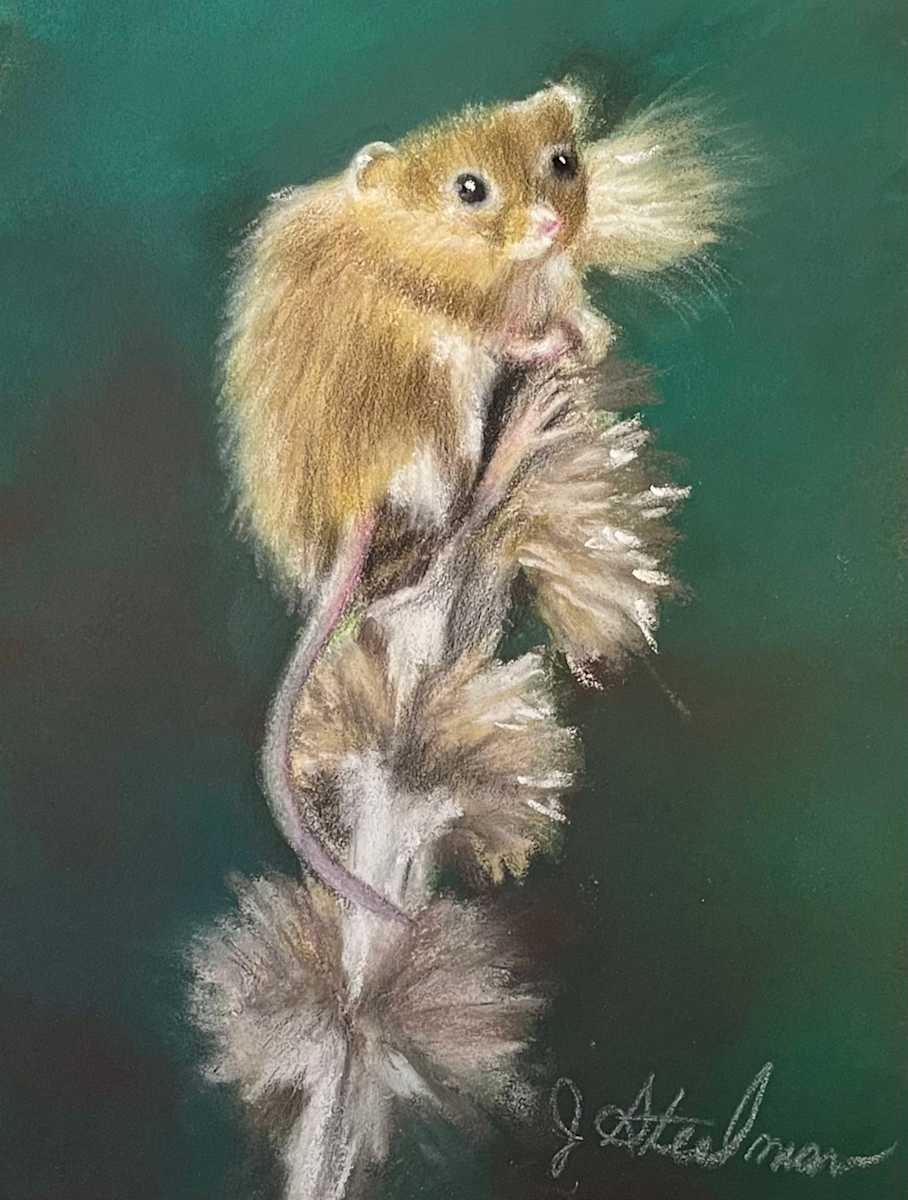 Country Mouse by Jane D. Steelman, Image 1.