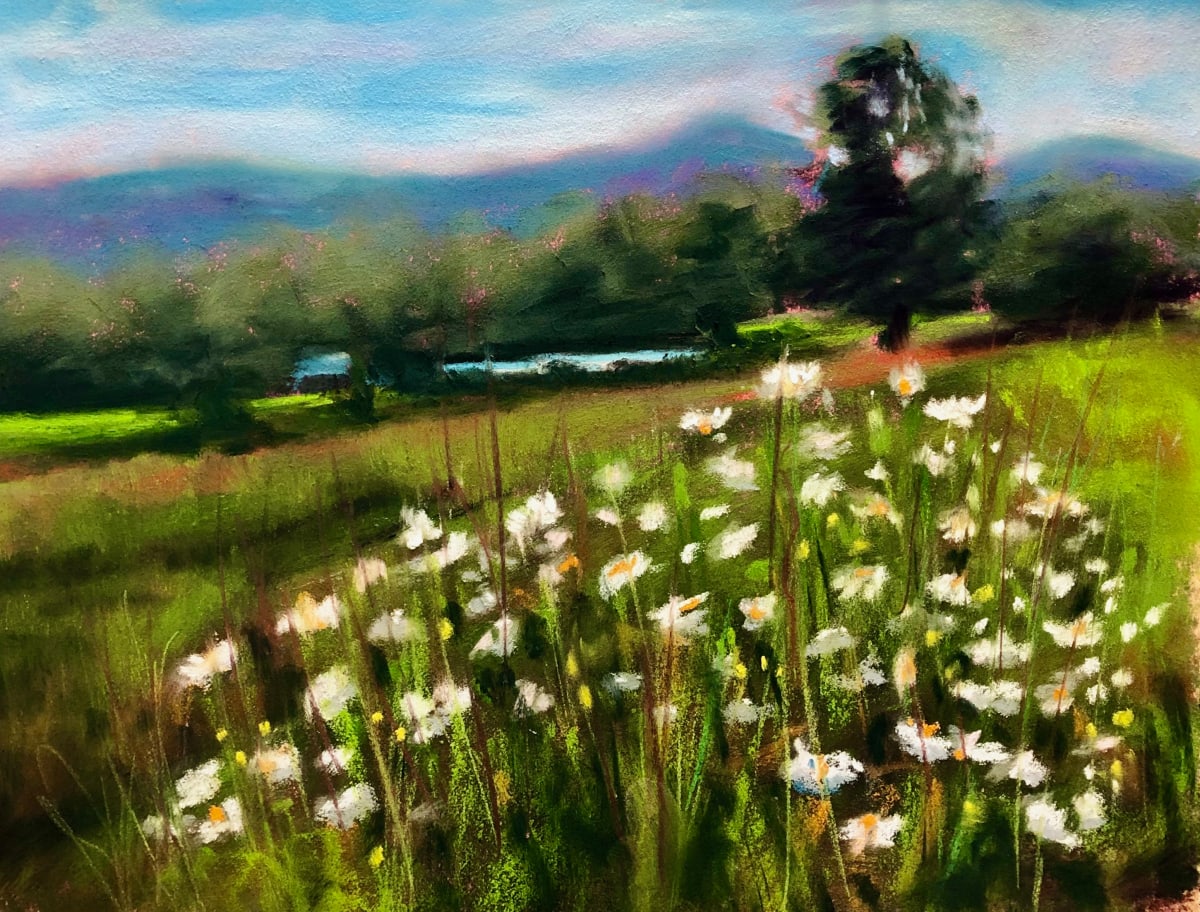 Mountain Meadow, Image 1.