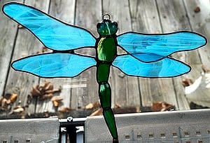 Dragonfly 2 