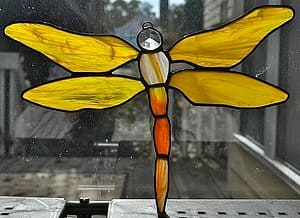 Dragonfly 3, Image 1.