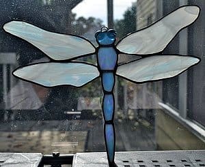 Dragonfly 5 