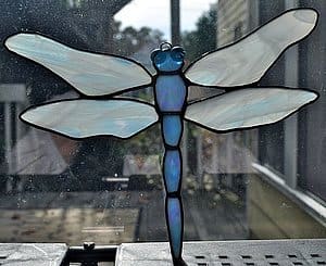 Dragonfly 5, Image 1.