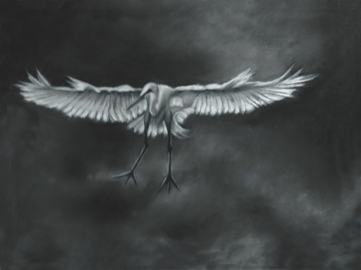 Flyin' High by Jane D. Steelman  Image: Egret