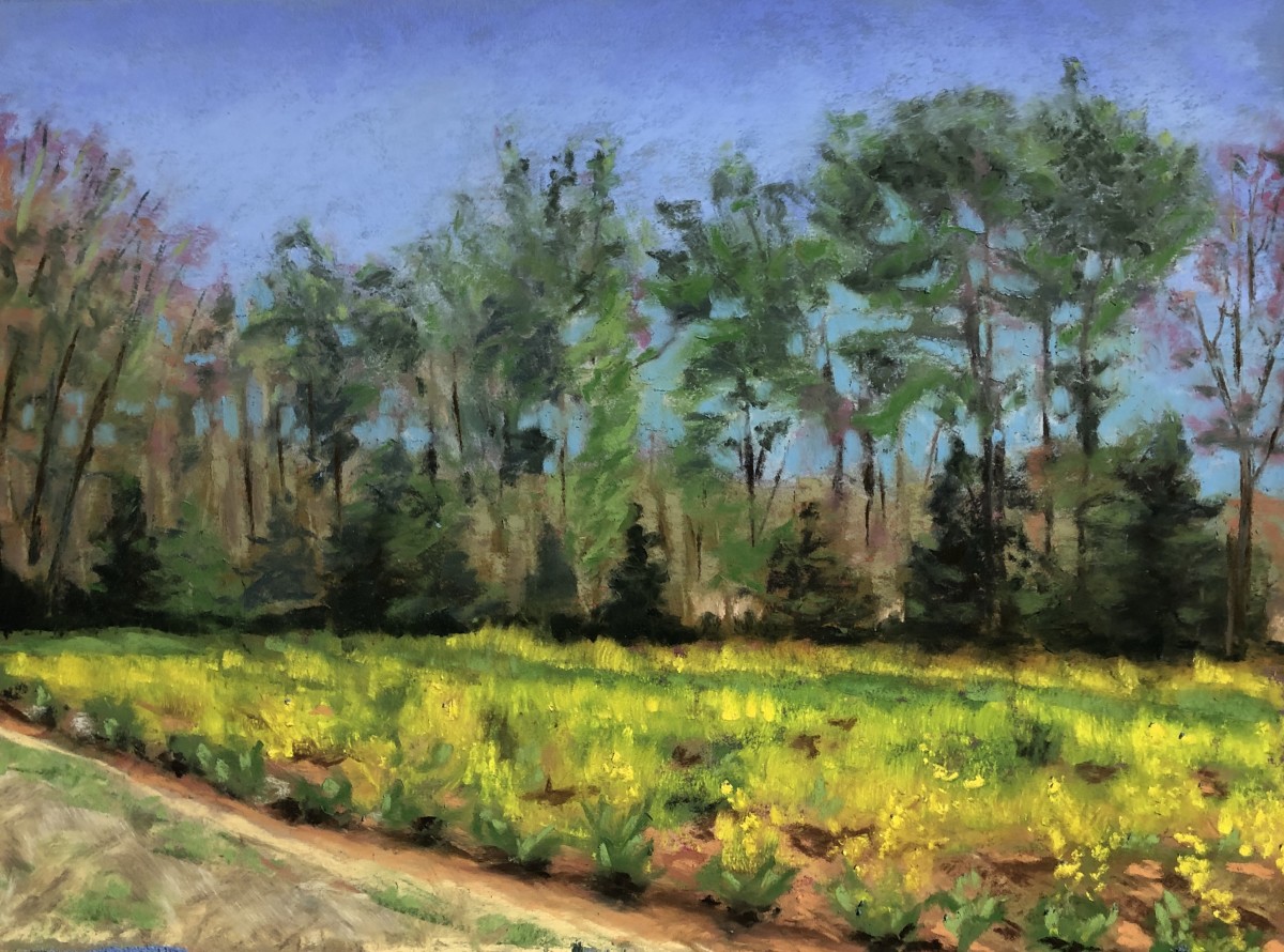 Edwards Farm, Warren County, NC by Jane D. Steelman  Image: Edwards Farm is a collard farm located in Warren County, NC. 