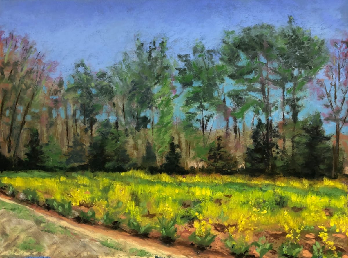 Edwards Farm, Warren County, NC by Jane D. Steelman, Image 1.