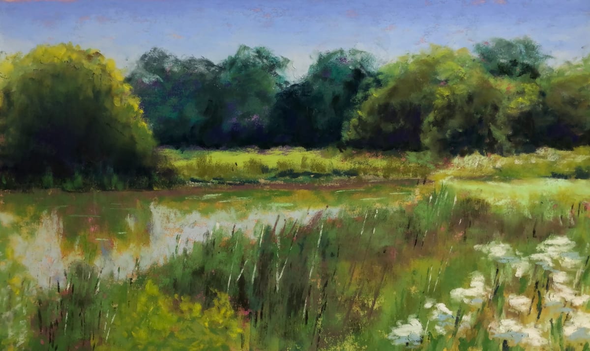 I Saw the Light by Jane D. Steelman, Image 1.