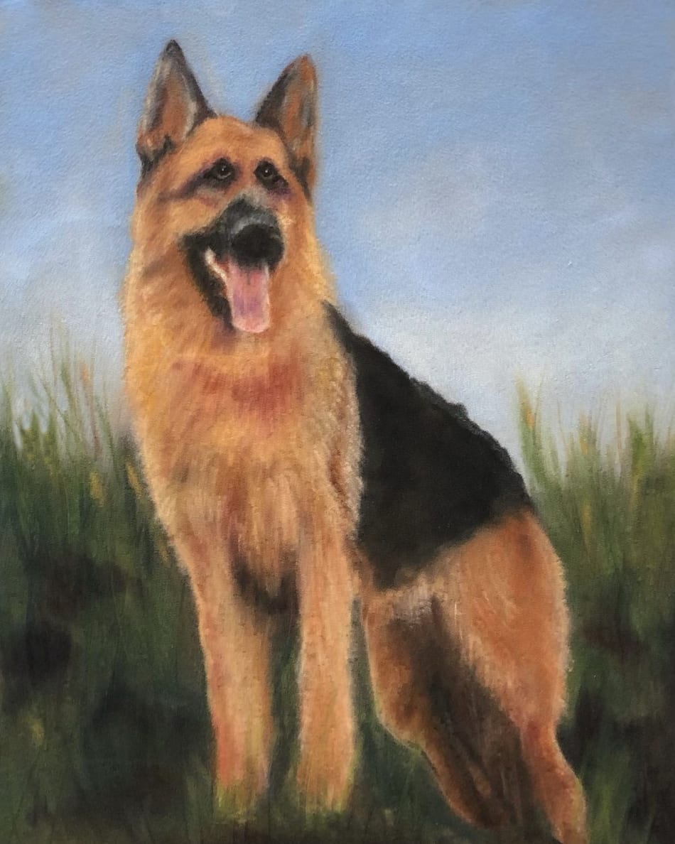 German Shepherd in Grass 