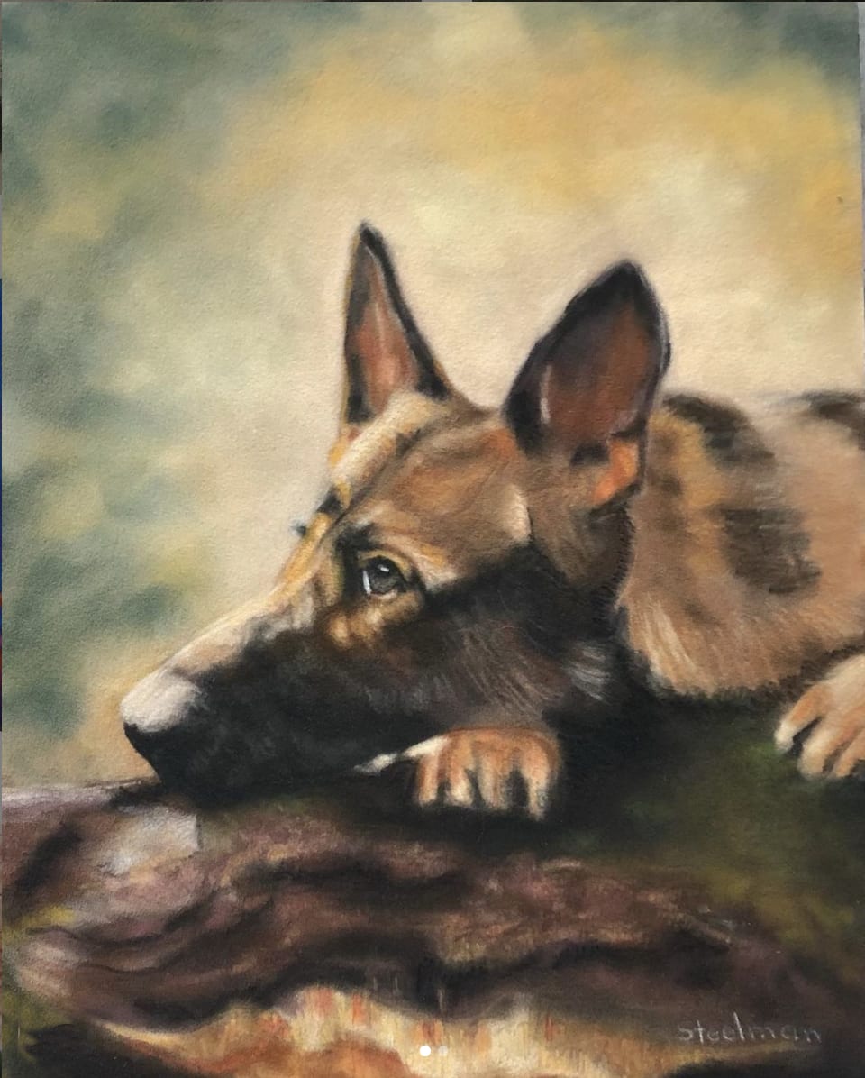 German Shepherd on Log, Image 1.