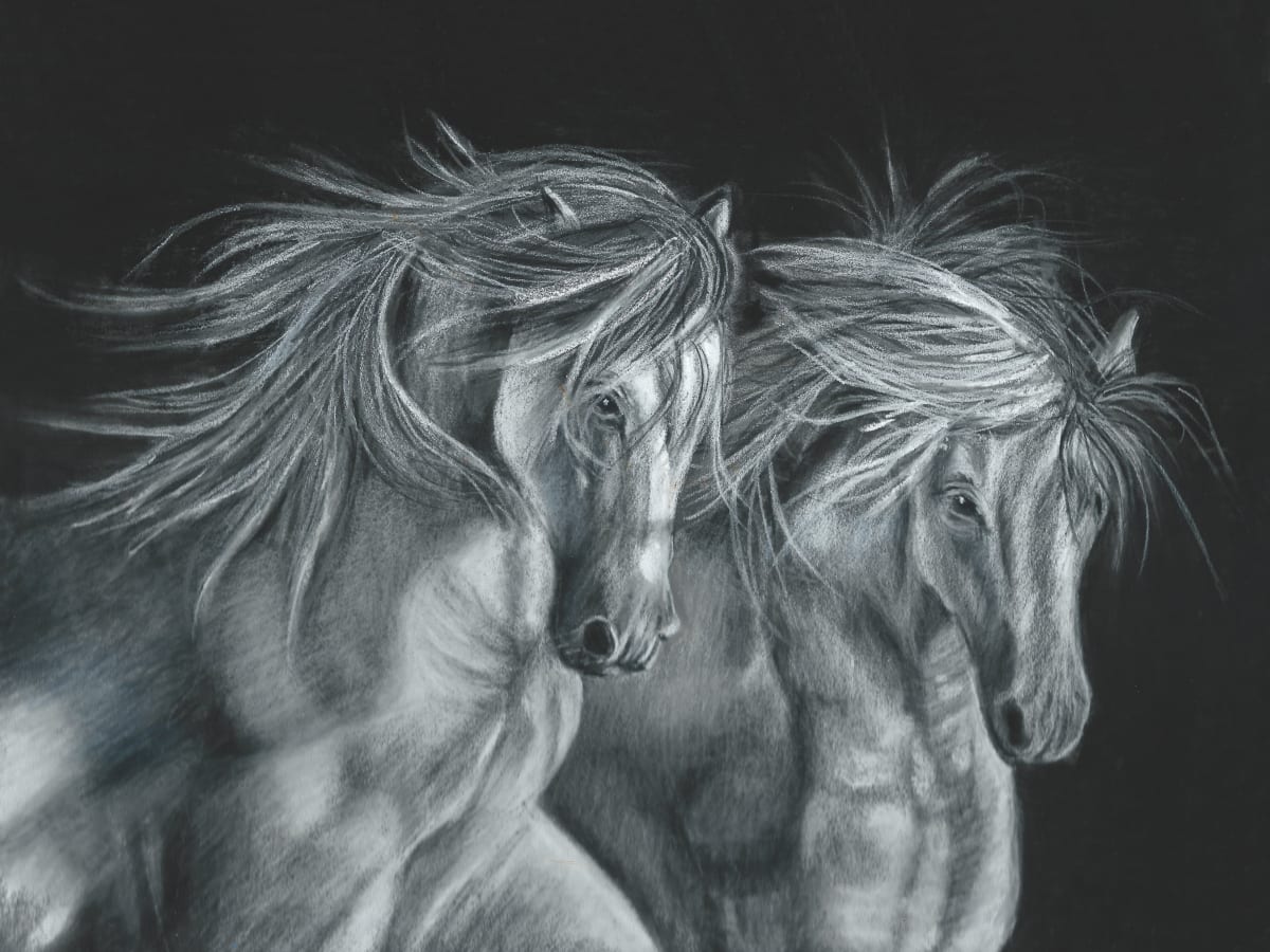 Wild Horses by Jane D. Steelman 