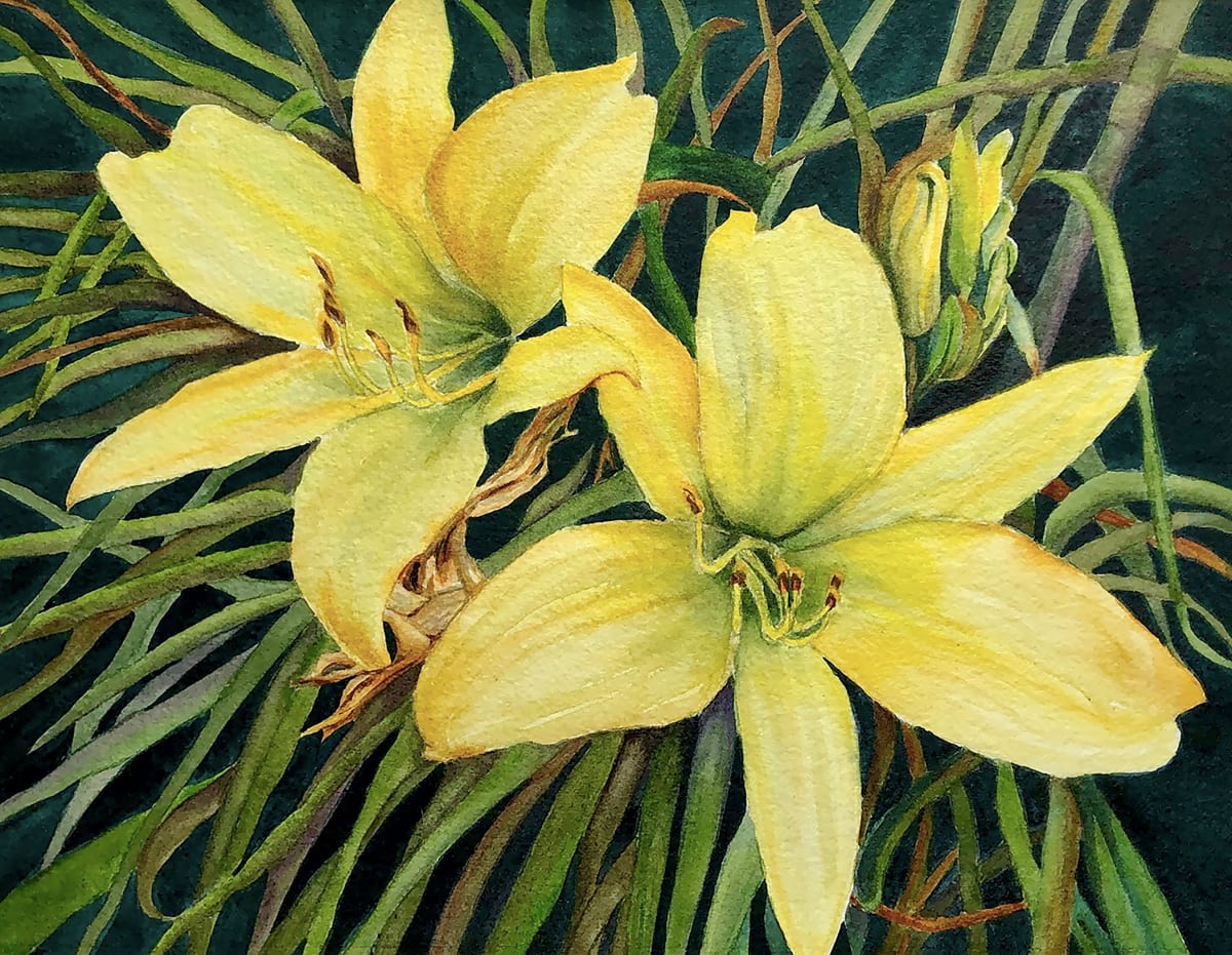 Yellow Lillies 